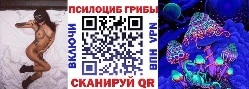 Псилоцибиновые грибы Psilocybine cubensis Задонск