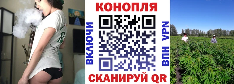 Канабис гибрид Задонск